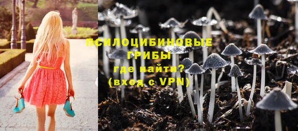 прущие крисы Приозерск